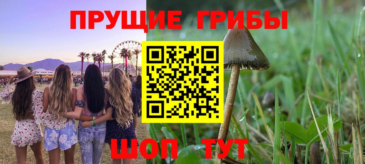 Галлюциногенные грибы прущие грибы Алатырь