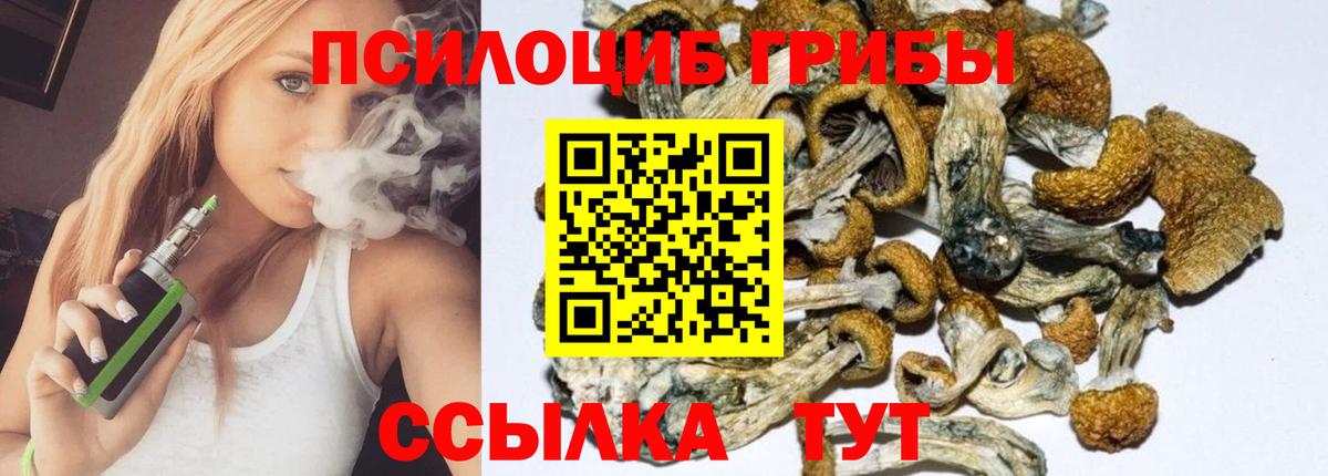 Псилоцибиновые грибы Magic Shrooms  Вход с VPN  Алатырь 